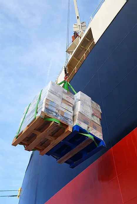 Deck Supplies